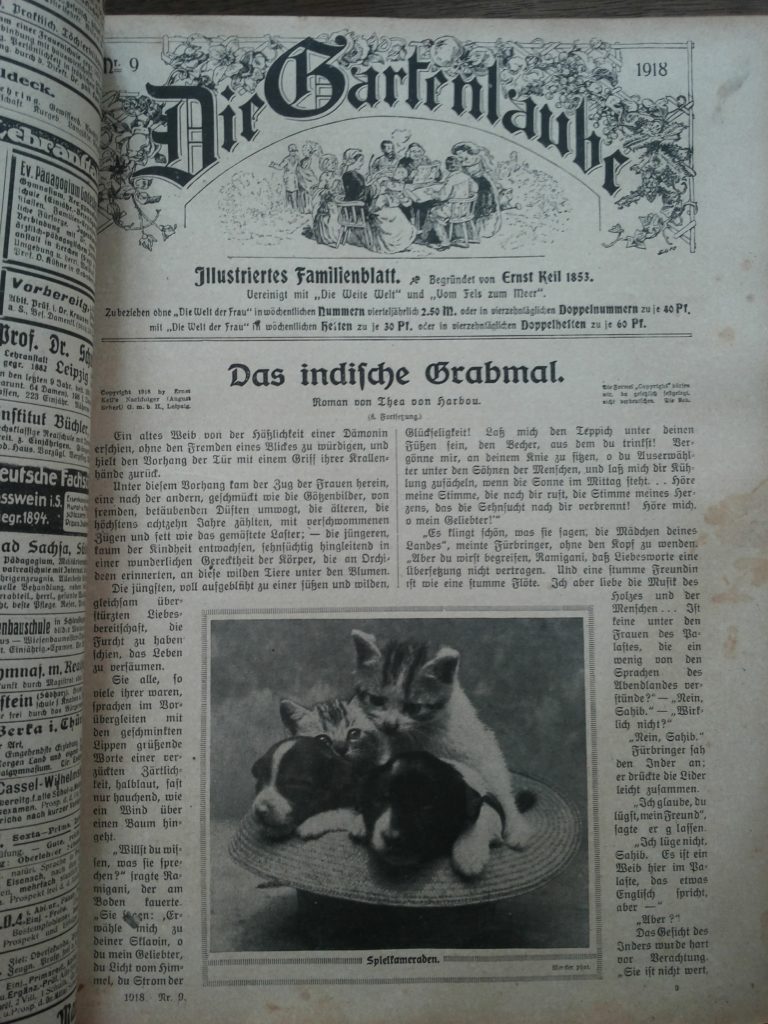 Eine Seite aus der Zeitschrift "Die Gartenlaube" von 1918. Darauf befindet sich unter Anderem ein Bild, auf dem 2 Welpen sowie 2 Katenbabies in einem Strohhut sitzen.